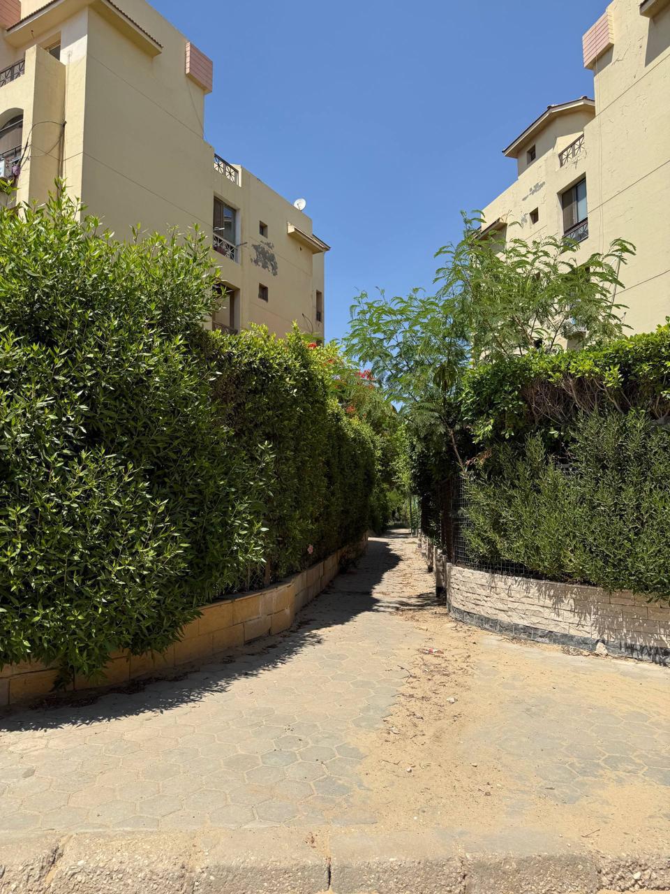 شقة في حي الاشجار — RE-14644