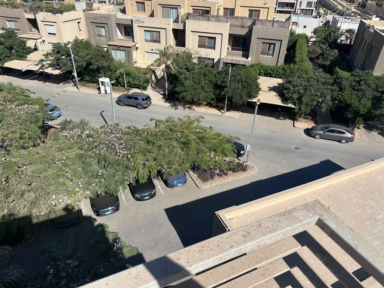 Studio, 1 BR in Palm Parks