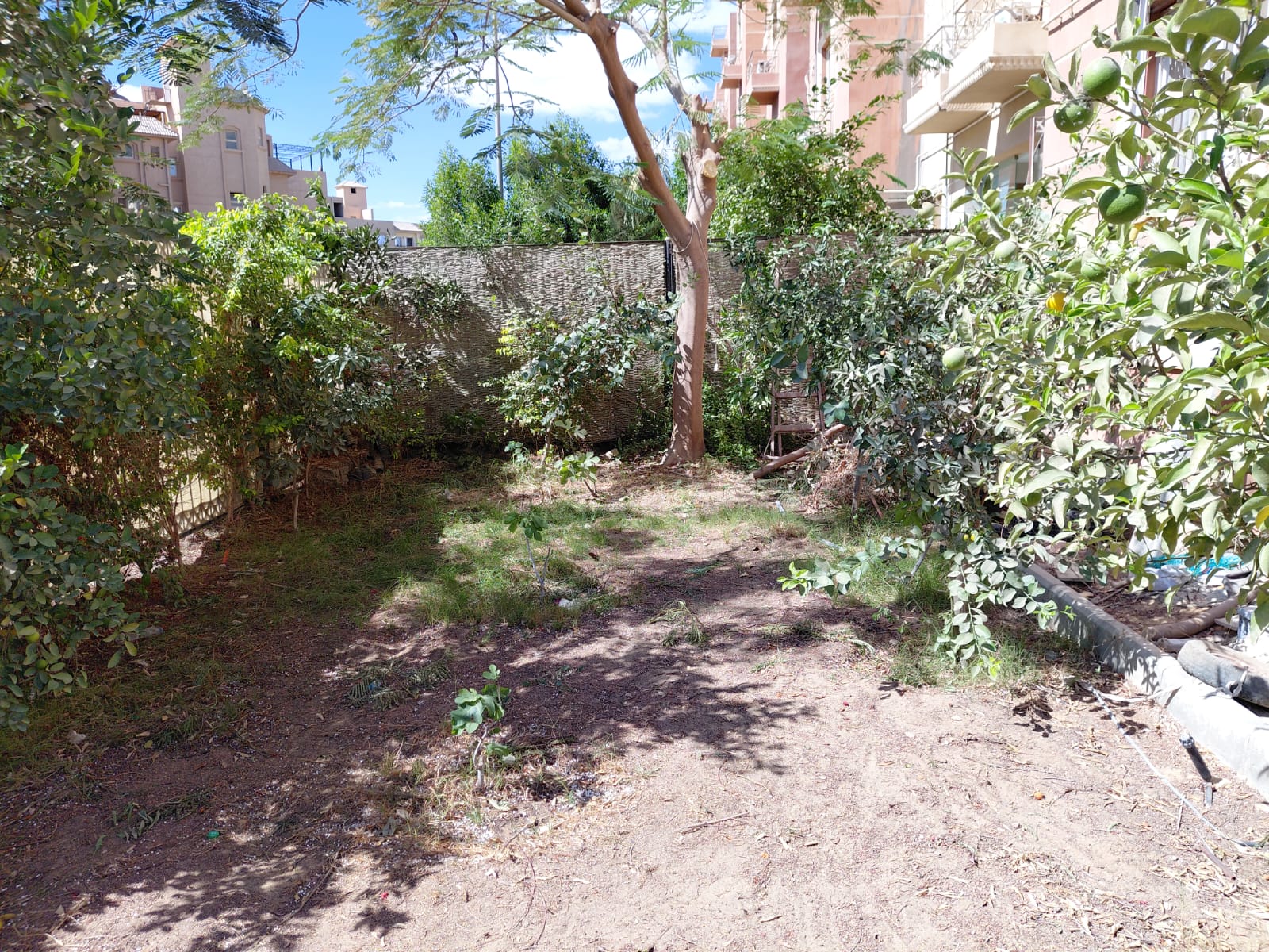 Apartment, 3 BR in Dream Land