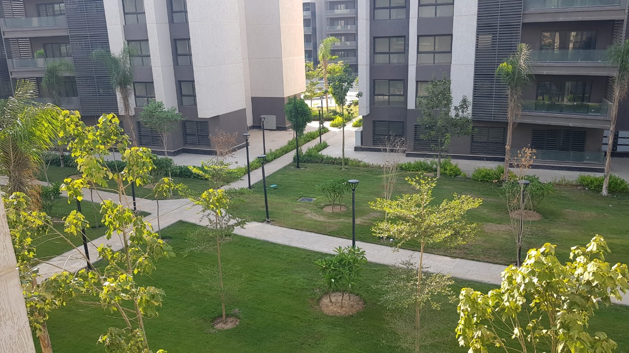 4-Bedroom Apartment