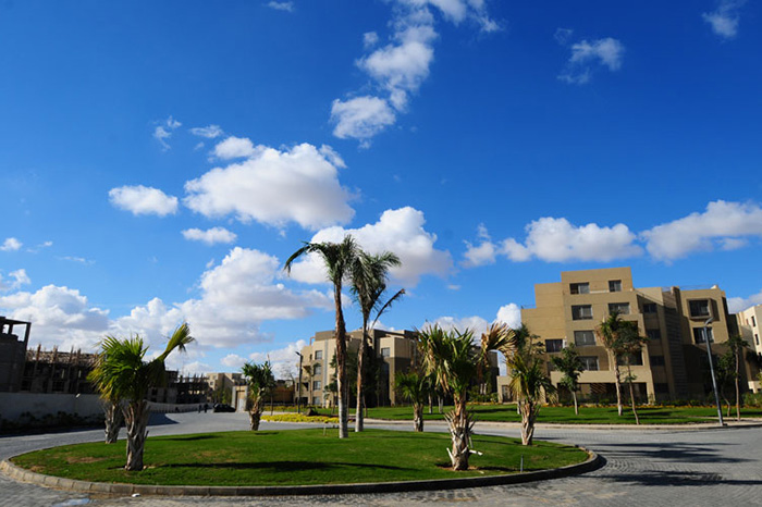 1-Bedroom Apartment