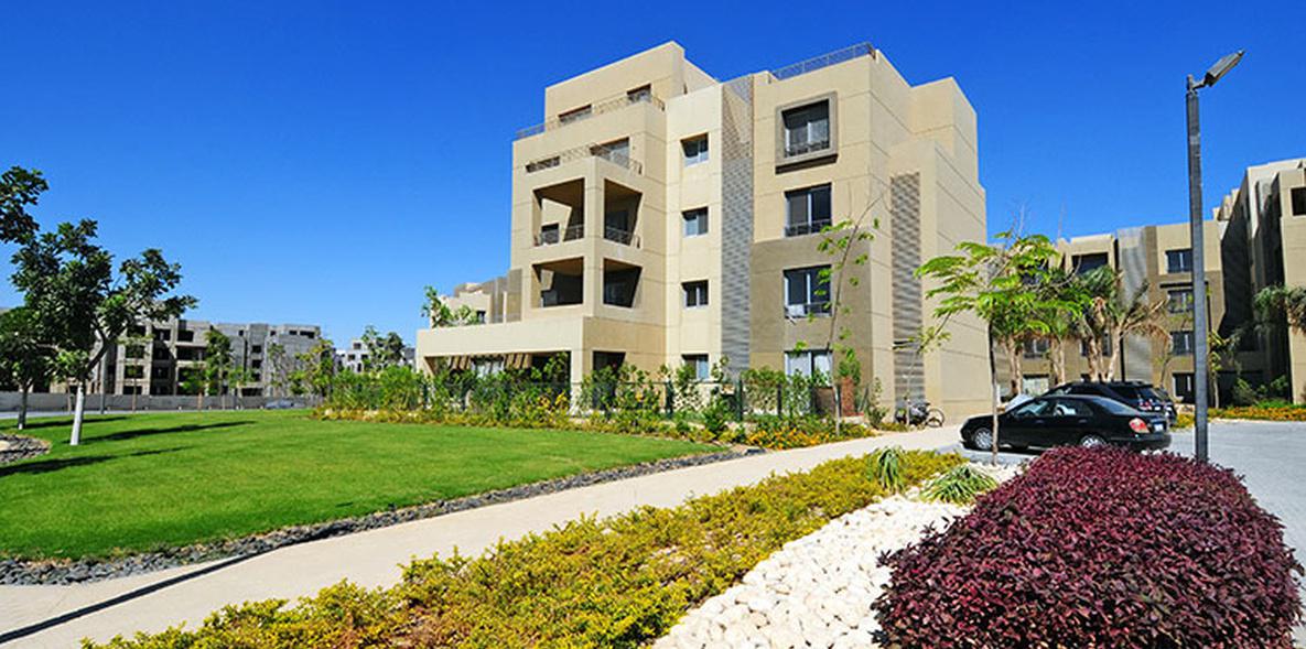 Palm Parks